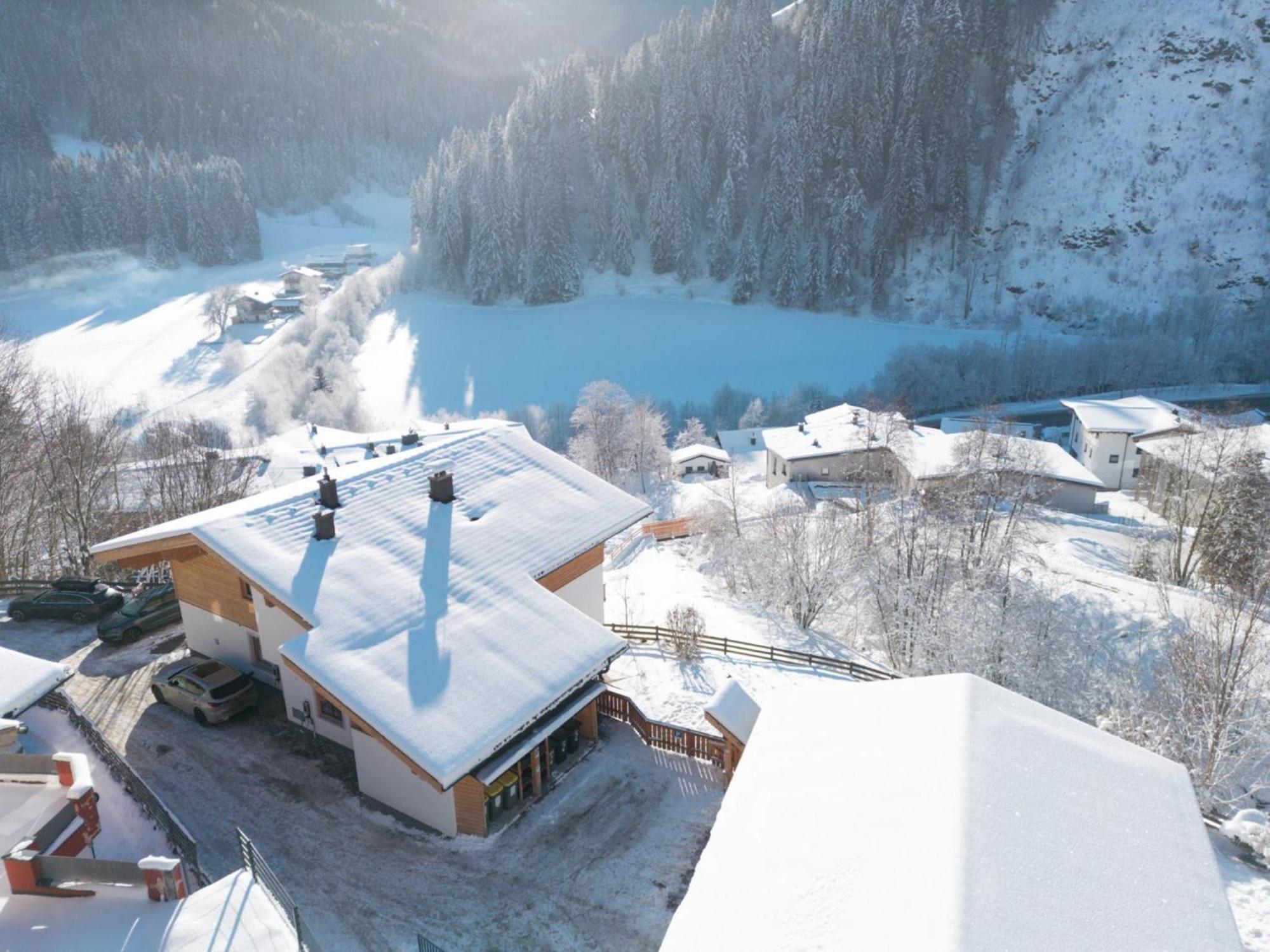 Alpensteinbock B * Saalbach-Hinterglemm