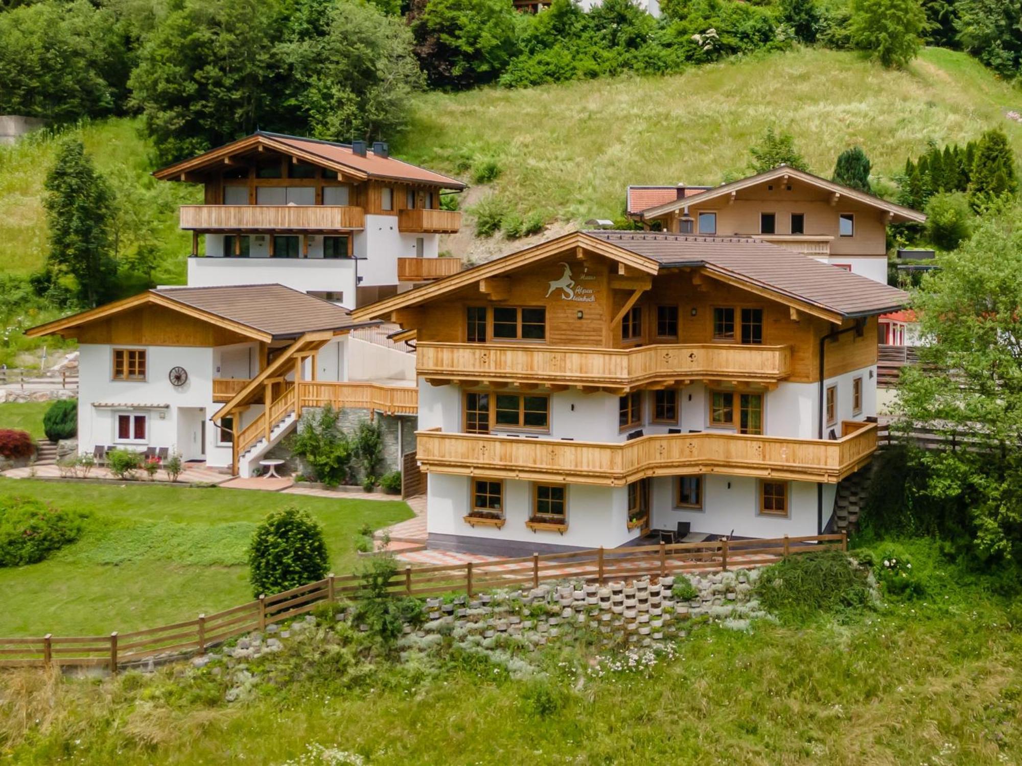 Alpensteinbock B *
