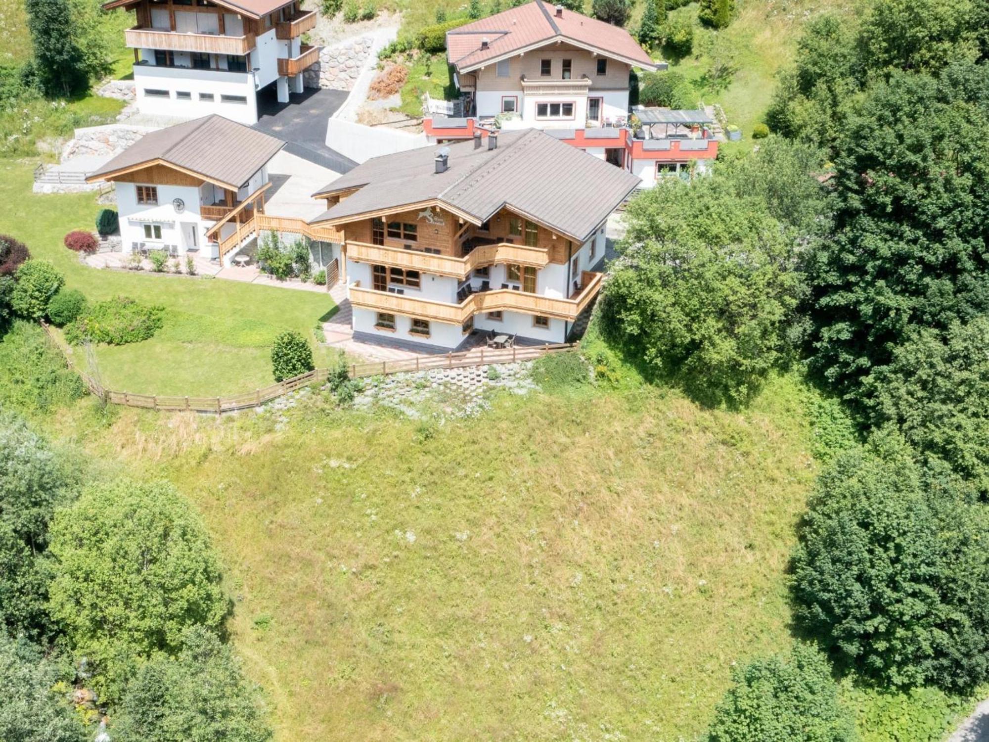 Alpensteinbock B Saalbach-Hinterglemm